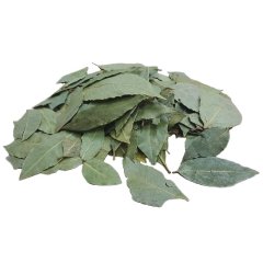 Лавровый лист